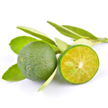 Flavor Jeruk Kasturi