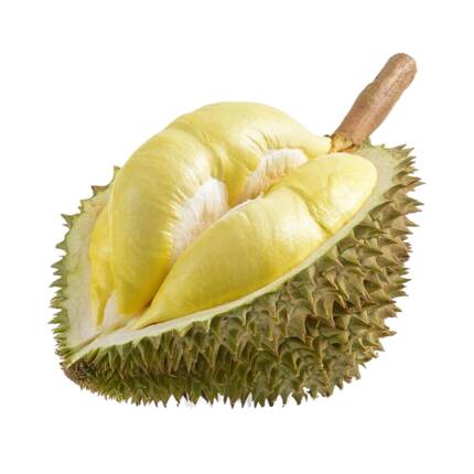 Flavor Durian