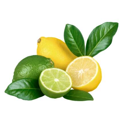 Flavor Lemon Limau
