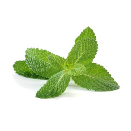 Flavor Mint
