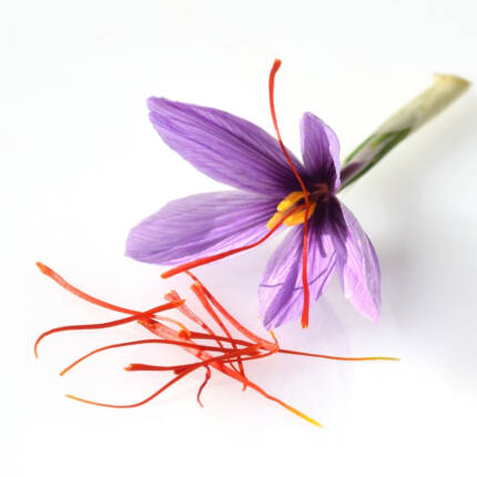 Flavor Saffron