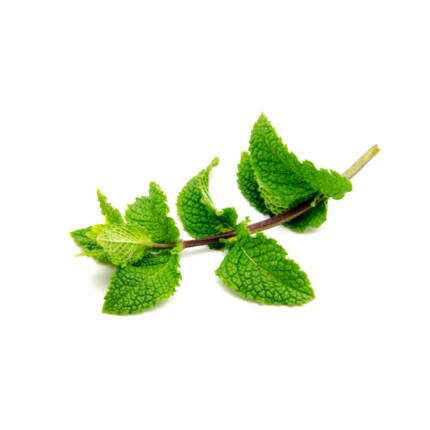 Flavor Spearmint