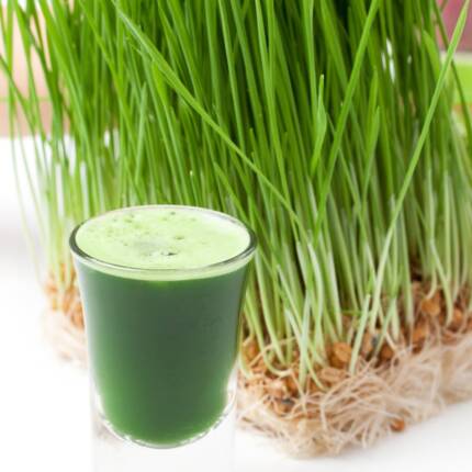 Flavor Wheat Grass